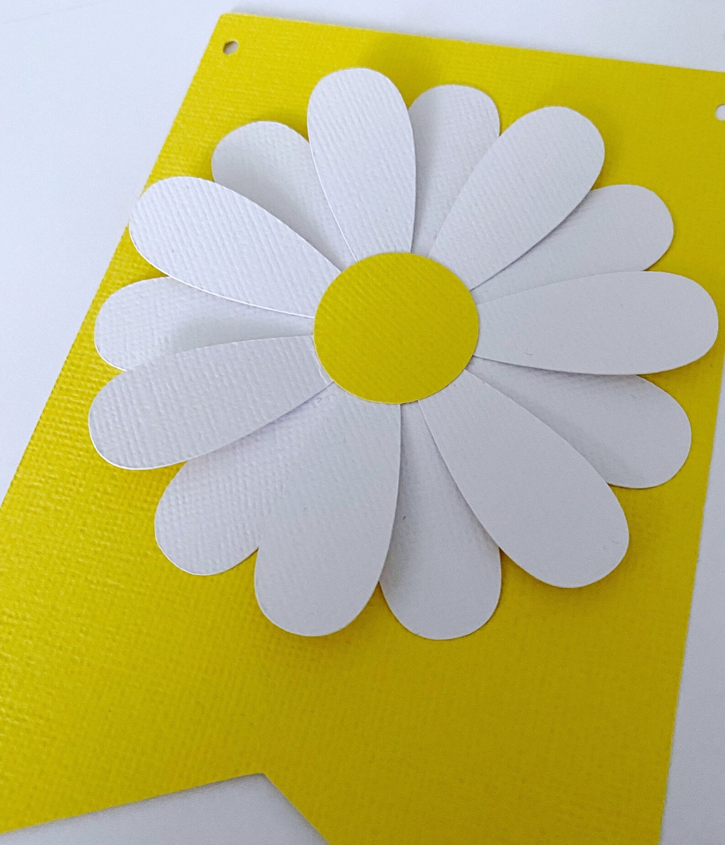 Daisy ONE Banner. First birthday bunting.
