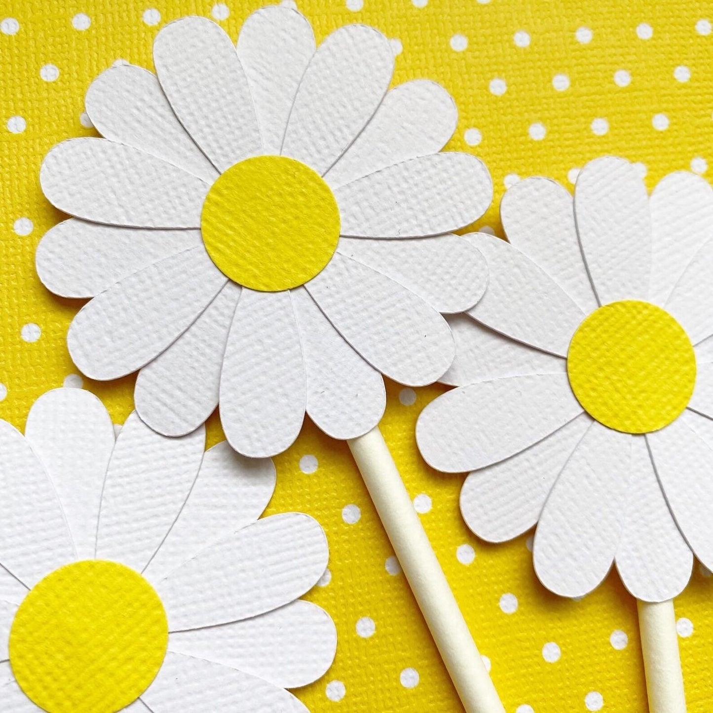 Daisy Cupcake toppers.
