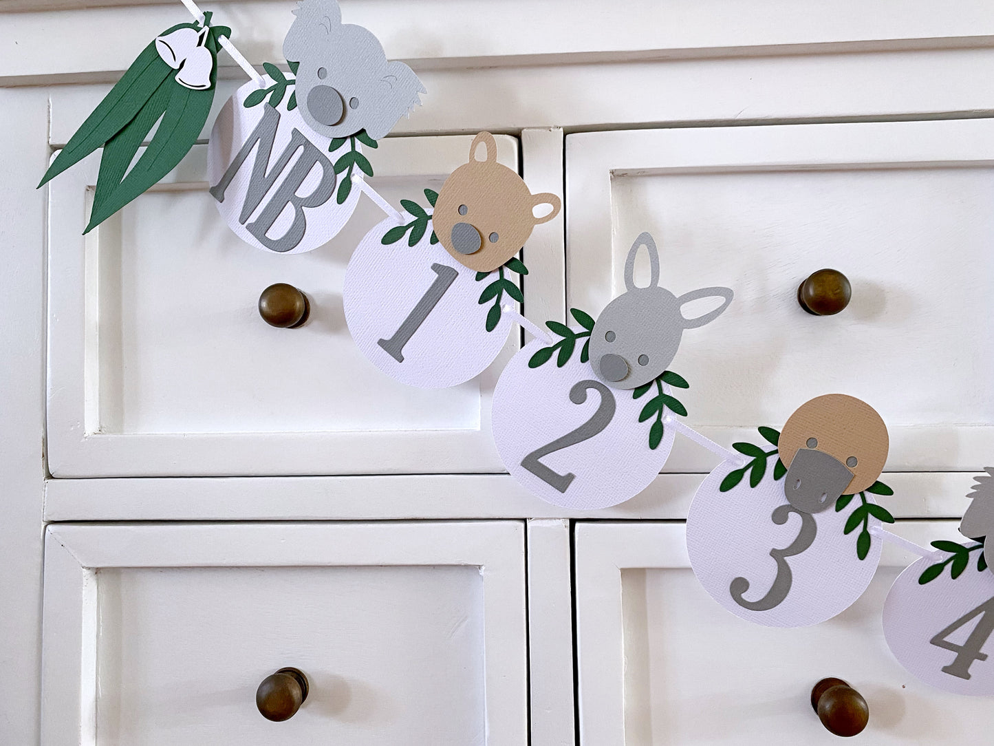 Australian Animal First Birthday Banner. NB-12 Month photo garland.