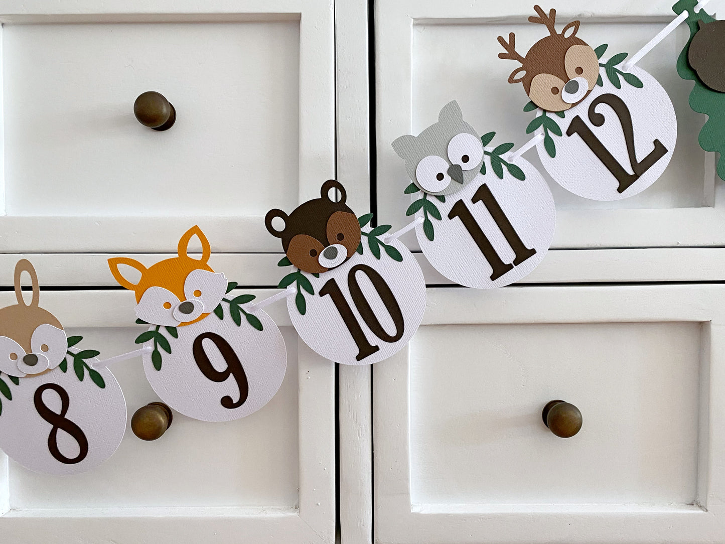 Woodland Animal First Birthday Banner. NB-12 Month photo garland.