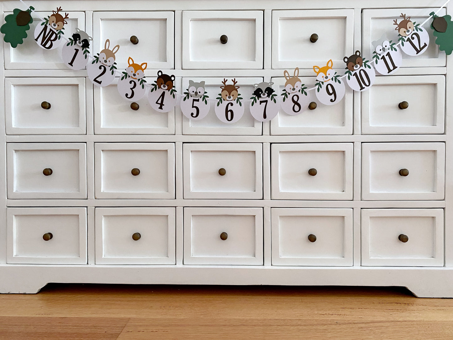 Woodland Animal First Birthday Banner. NB-12 Month photo garland.