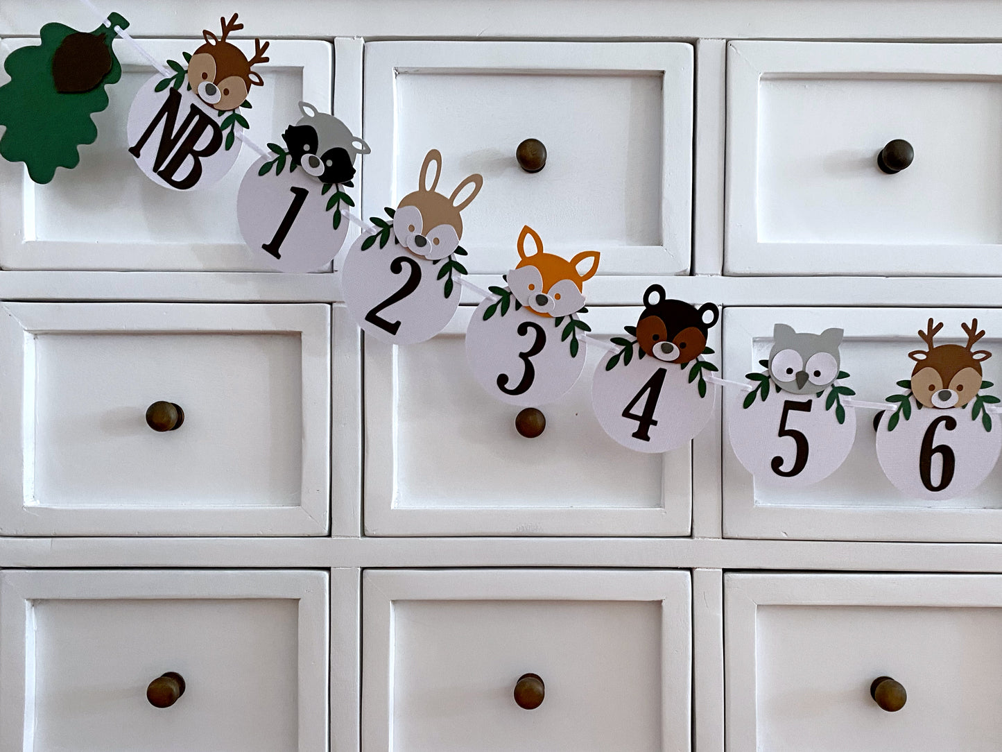 Woodland Animal First Birthday Banner. NB-12 Month photo garland.
