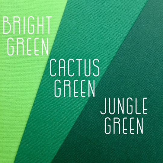 Jungle, Zoo, Safari Animal Party Banner