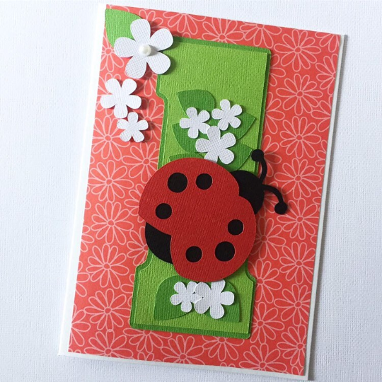 Ladybug greeting card. Age birthday card.