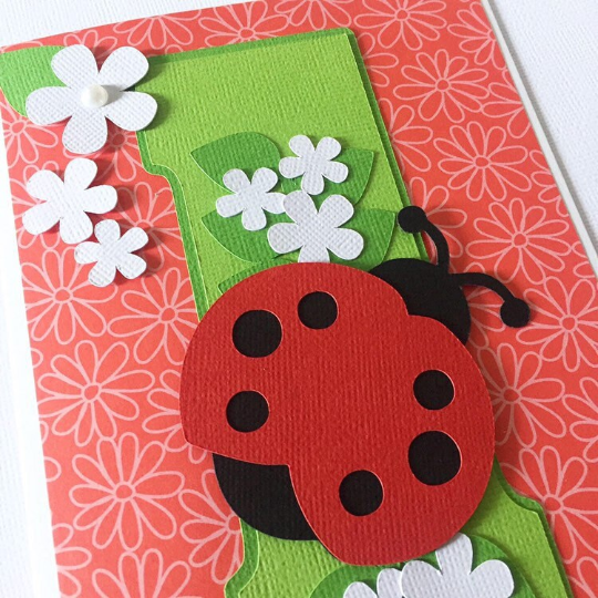 Ladybug greeting card. Age birthday card.