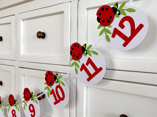 Ladybug First Birthday Banner. NB-12 Month photo garland.