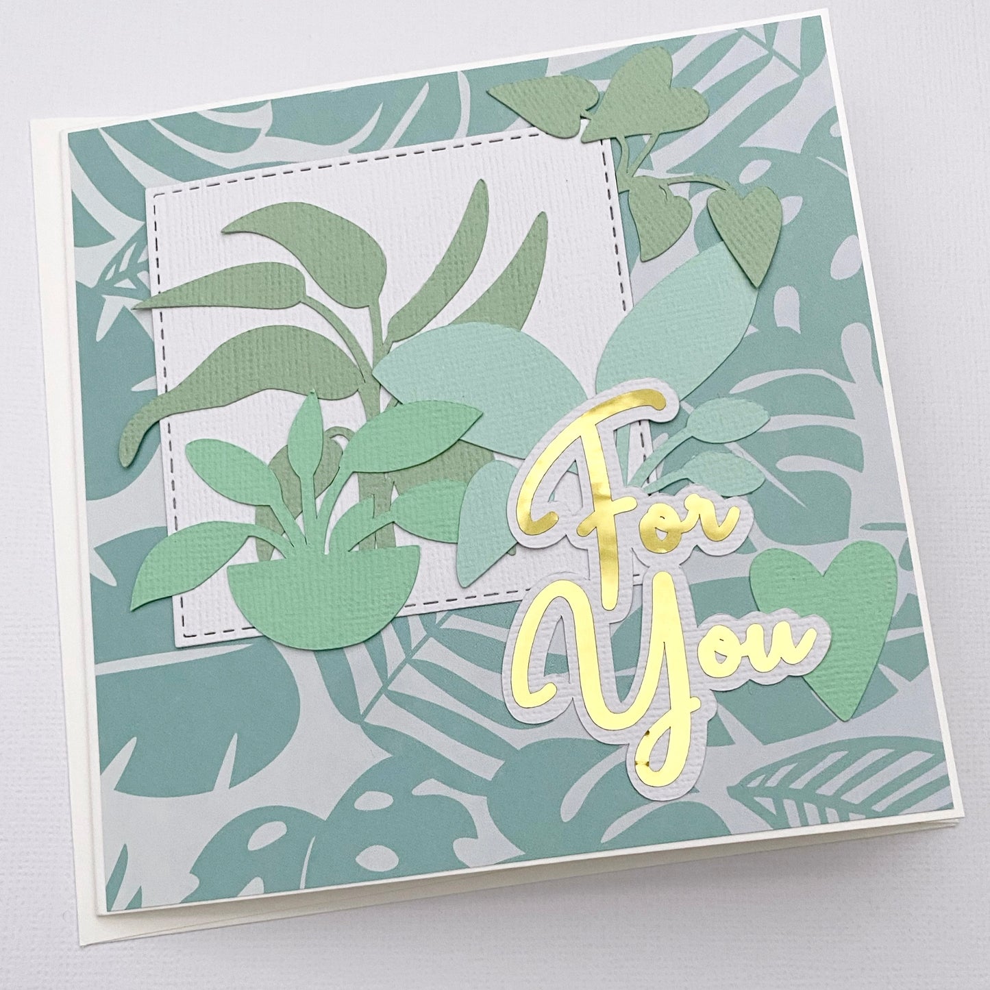 House plant card, birthday, greeting card.