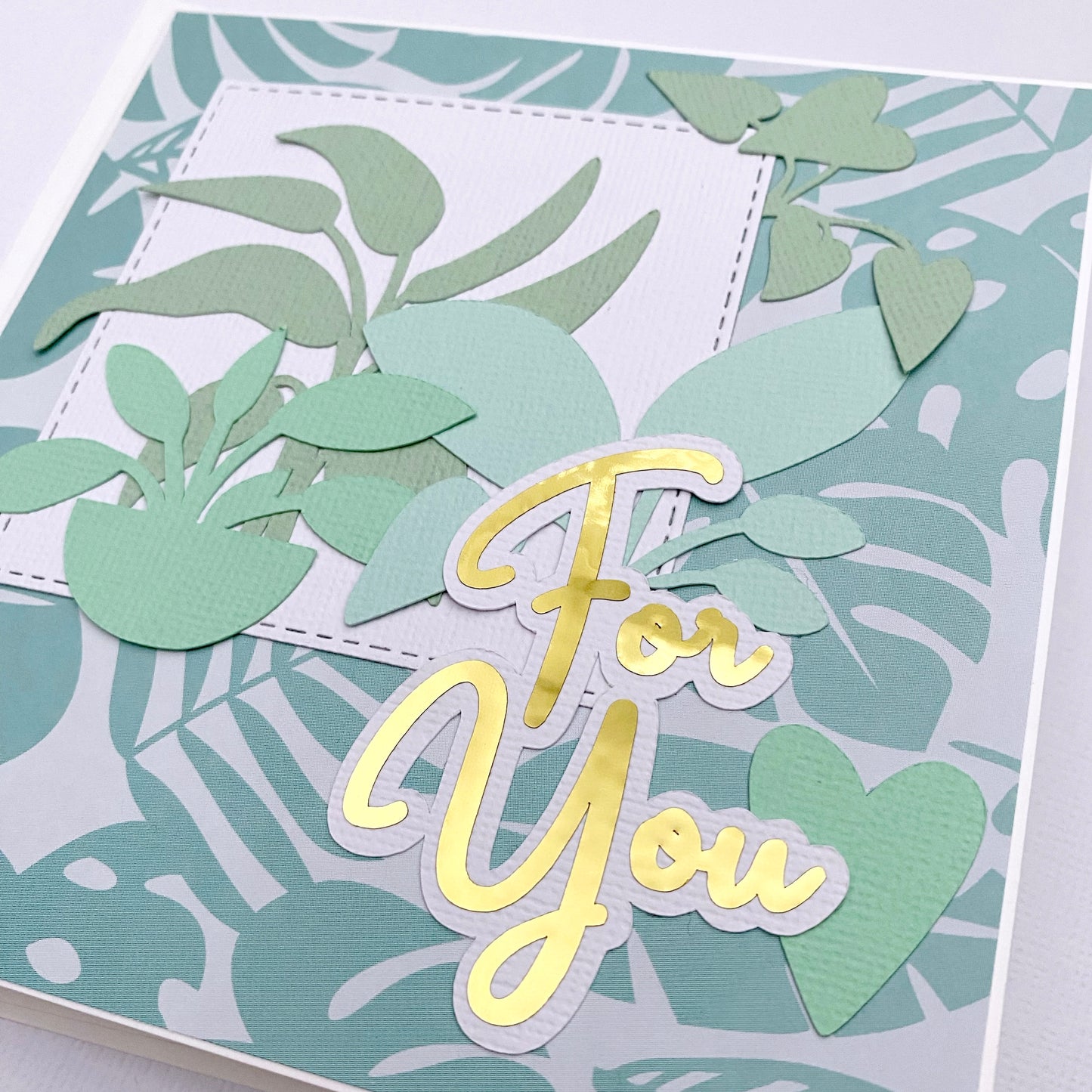 House plant card, birthday, greeting card.