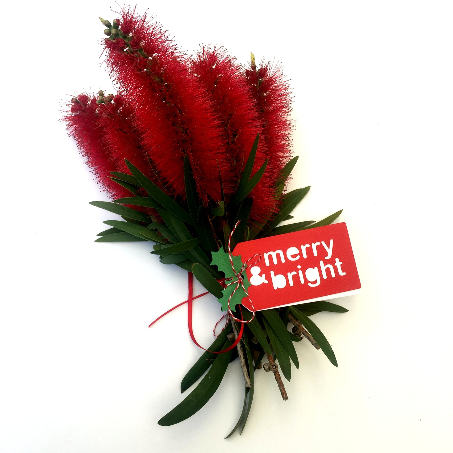 Merry & Bright Christmas gift tags.