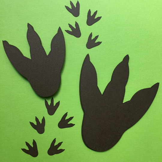 Dinosaur Footprint shapes.