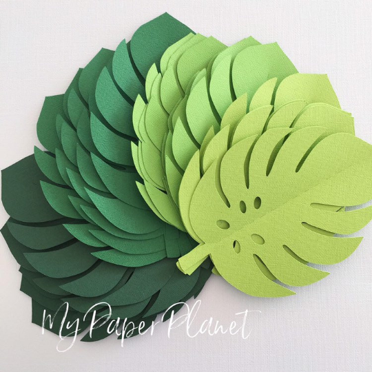 Tropical Leaf shapes. Green ombre safari or jungle leaves, monstera leaf.