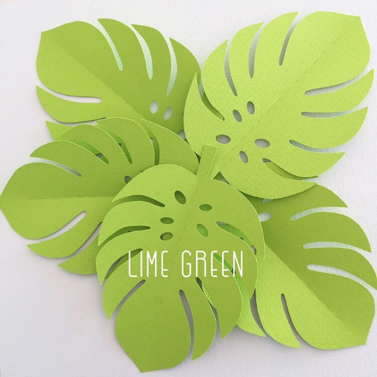 Tropical Leaf shapes. Green ombre safari or jungle leaves, monstera leaf.